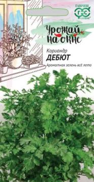 *Кориандр Дебют Гавриш