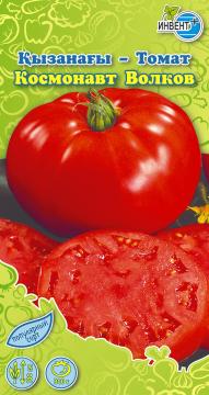 Томат Космонавт Волков Инвент-ПлюсТұқымдар Космонавт Волков Қызанағы 