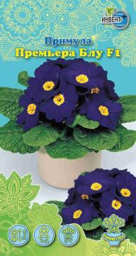 ЦВ Комн Примула бесстебельная Премьера блу F1 Инвент-ПлюсТұқымдар Примула Примьера Блу  F1 сабақсыз 