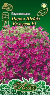 ЦВ Петуния каскадная Парпл Шейдз Вельвет F1 Инвент-ПлюсТұқымдар Парпл Шейдз Вельвет F1  Сарқырама 
