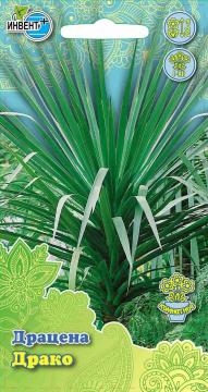 ЦВ Комн Драцена Драко Инвент-ПлюсТұқымдар Драко Драцена