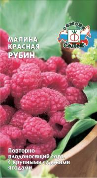 Малина Красная Рубин Седек