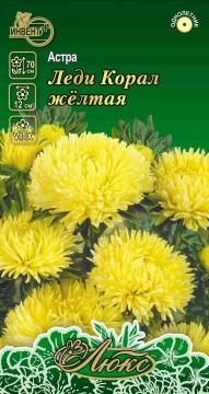 Астра Леди корал желтая Инвент-Плюс Тұқымдар Леди Корал Желтая  Қашқаргүлі / Люкс Сериясы