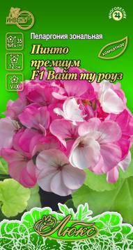 ЦВ Комн Пеларгония зональная Пинто Премиум F1  Вайтт Ту РоузТұқымдар Пинто премиум F1 Вайт ту роуз  
