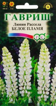 ЦВ Люпин Рассела Белое пламя Гавриш