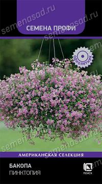 Цв. Бакопа Пинктопия  (Поиск)