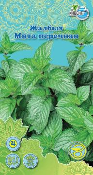 *Мята перечная Инвент-ПлюсТұқымдар Жалбыз  