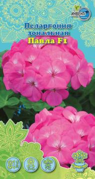 ЦВ Комн Пеларгония зональная Павла F1 Инвент-ПлюсТұқымдар Зональная Павла  F1 Зоналық пеларгониясы 