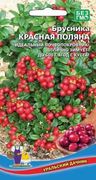 Брусника Красная поляна (УД)