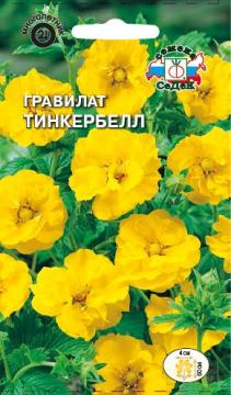 ЦВ. Гравилат Тинкербелл Седек