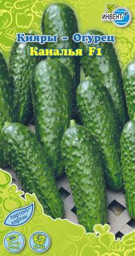 Огурец Каналья F1 Инвент-ПлюсТұқымдар Каналья F1  Қияры