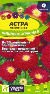 Цв. Астра Помпонная Вишнево-красная  /Сем Алт/