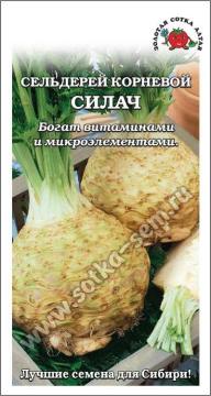 *Сельдерей корневой Силач  (Золотая сотка)