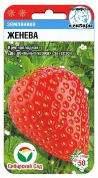 Земляника Женева (Сиб.сад)*