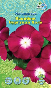 ЦВ Комн Катарантус Пацифик бургунди хэло Инвент-ПлюсТұқымдар Пацифик Бургунди  Хэло Қызғылт 