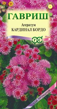 ЦВ Агератум Кардинал бордо Гавриш