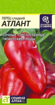 Перец Атлант /Сем Алт/