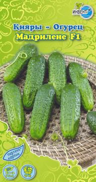Огурец Мадрилене F1 Инвент-ПлюсТұқымдар Мадрилене F1   Қияры