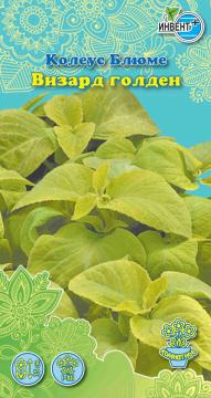 ЦВ Комн Колеус Блюме Визард Голден  Инвент-ПлюсТұқымдар Визард Голден Колеус блюмесі