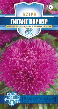 Астра Гигант пурпур,серия Русский богатырь  Гавриш