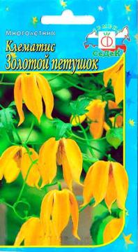 ЦВ. Клематис Золотой петушок (тангутский)  Седек