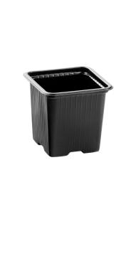 Горшок КВ9М 0,33л 9*9*6,5,форм,лист 0,7 полипроп черный квадр