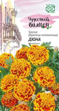 ЦВ Бархатцы откл. Дюна   (Тагетис)    (Гавриш)