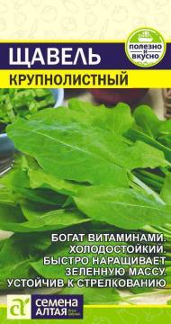 *Щавель Крупнолистный   /Сем Алт/