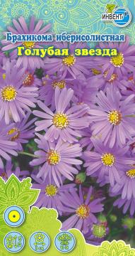 ЦВ Брахикома иберистолистная Голубая звезда Инвент-Плюс Тұқымдар  Голубая Звезда Иберисолисті брахик