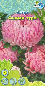 Астра Салмон турм Инвент-ПлюТұқымдар Салмон Турм Қашқаргүлі 