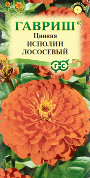 ЦВ Цинния Исполин лососевый Гавриш