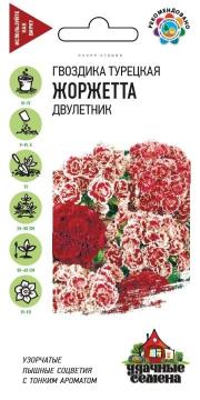 ЦВ Гвоздика трецкая бородатая Жоржетта  (Гавриш)