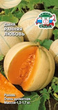 Дыня Ранняя Любовь Седек