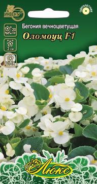 ЦВ Комн Бегония вечноцветущая Оломоуц F1 Инвент-ПлюсТұқымдар Оломоуц F1  Мәңгі гүлденгіш бегониясы 