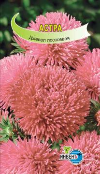 Астра Джевел Лососевая Инвент-Плюс Тұқымдар Джевел Лососевая Қашқаргүлі