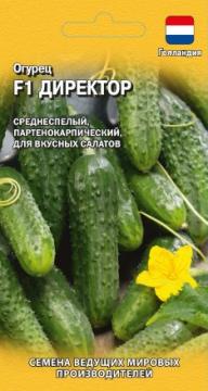 Огурец Директор F1 Гавриш