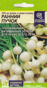 Лук на зелень и мини головку Ранний пучок  /Сем Алт/