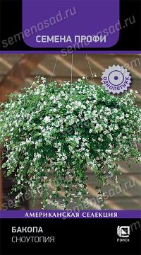 Цв. Бакопа Сноутопия  (Поиск)