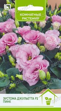 Цв.Комн. Эустома Джульетта Пинк  (Поиск)