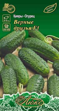 Огурец Верные друзья F1 Инвент-Плюс Тұқымдар Верные Друзья F1  Қияры/ Люкс Сериясы