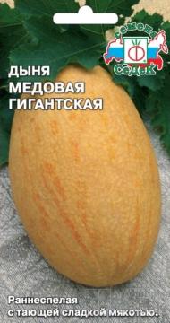 Дыня Медовая гигантская F1  Седек