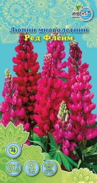 ЦВ Люпин многолетний Ред флейм Инвент-ПлюсТұқымдар Ред Флейм   Көпжылдық люпин