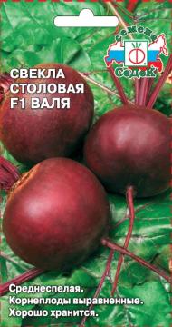 Свекла Валя (столовая)  Седек
