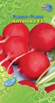 Редис Антошка F1 Инвент-ПлюсТұқымдар Антошка  F1 Редисі