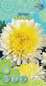 Астра Хильда Инвент-Плюс Тұқымдар Хильда Қашқаргүлі