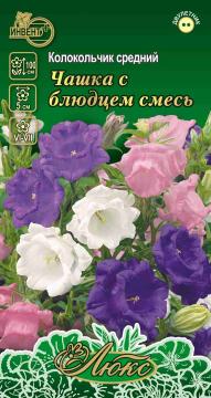 ЦВ Колокольчик средний Чашка с блюдцем Смесь Инвент-ПлюсТұқымдар Чашка С Блюдцем Қоспа Қоныраугүл 