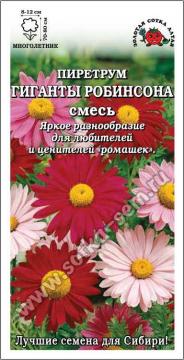 Цв. Пиретрум Гиганты Робинсона смесь (Золотая сотка)