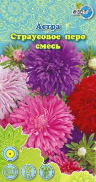 Астра Страусовое перо смесь Инвент-Плюс,Тұқымдар Страусовое Перо Қашқаргүлі Қоспа