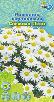 ЦВ Нивянник карликовый Снежная леди Инвент-ПлюсТұқымдар Снежная Леди Ергежей нивянигі