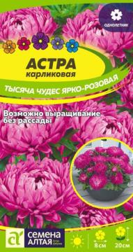 Цв. Астра Тысяча чудес ярко-розовая карликовая  /Сем Алт/